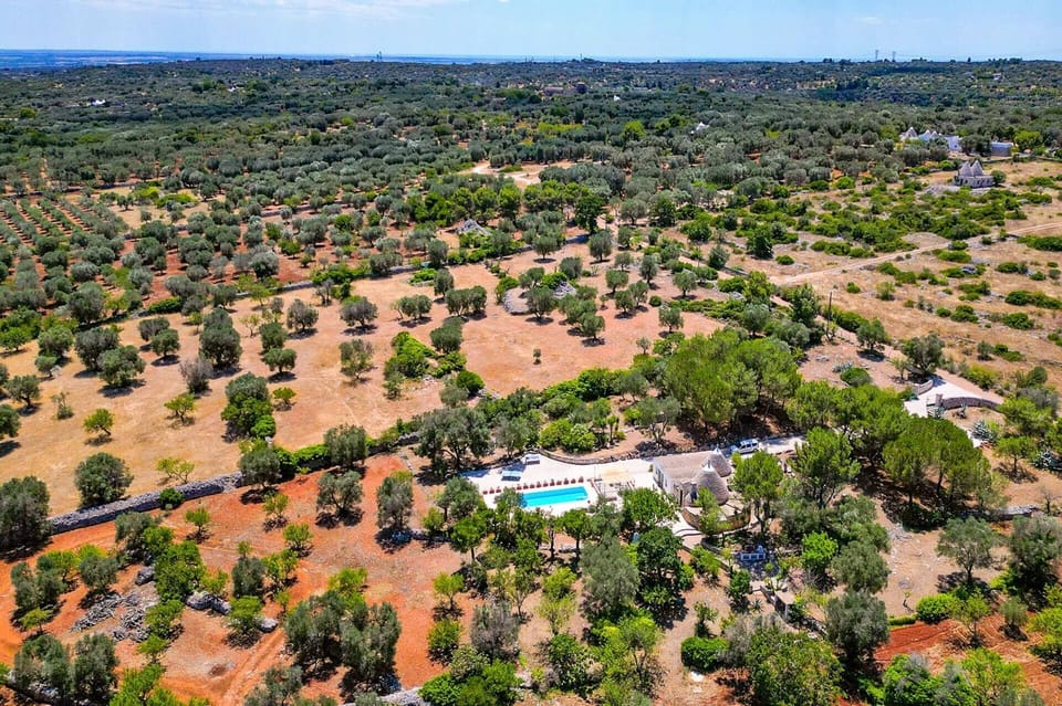 Villa Tarsilla image
