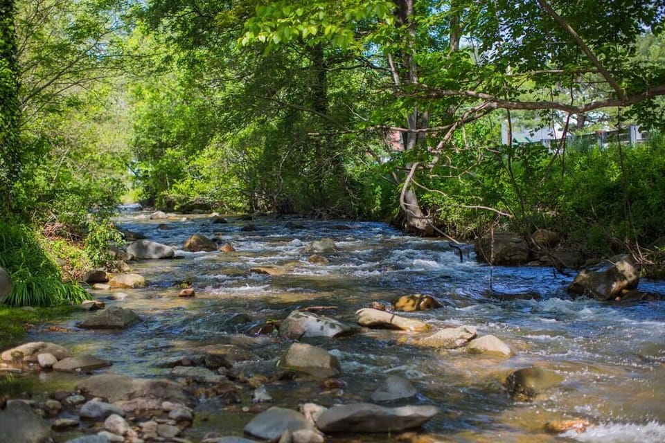 River view perfect for relaxing after hiking or exploring the area!