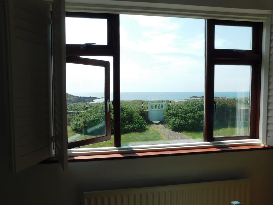 View from the dining room