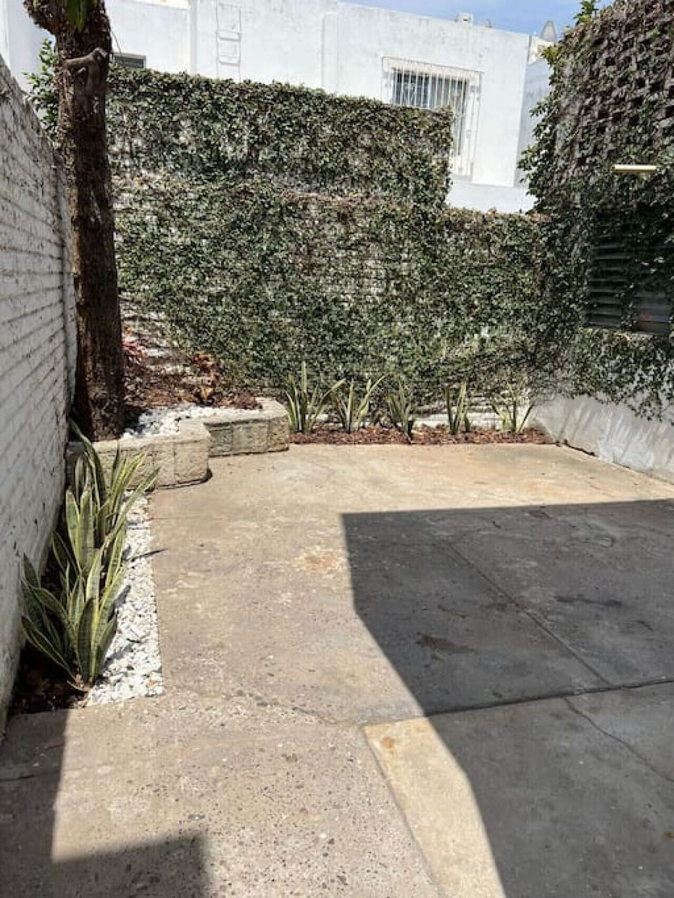 patio de la casa