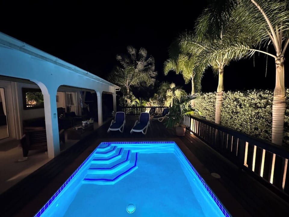 Illuminated palms