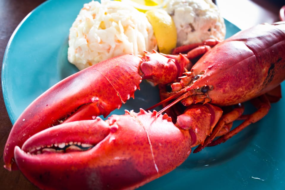 Enjoy boat price lobsters bought from our lobsterman neighbor at the cottage