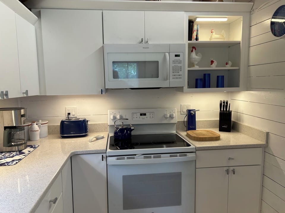 Newly remodeled kitchen 