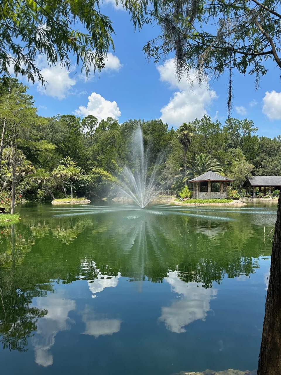 Cedar Lakes Botanical Garden and Devils Den