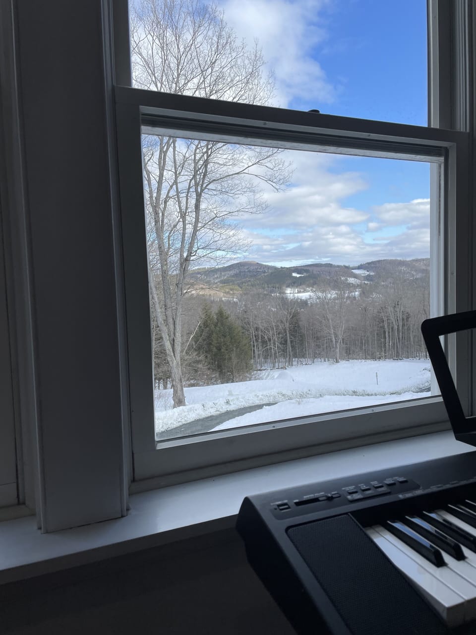 View from Family Room during winter