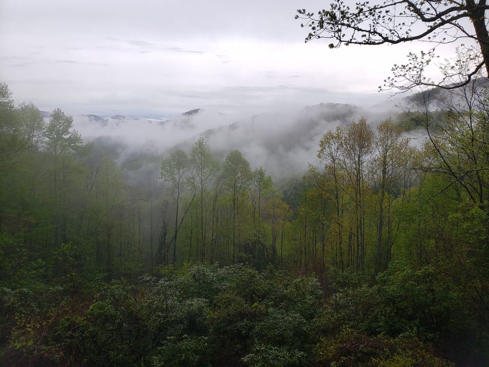 Fog shrouded hollows in the morning give way to layers of sculpted peaks.