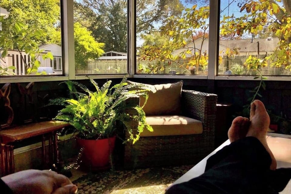 The screened Zen Den is the ultimate shaded chill out space... you'd find me here most afternoons!
