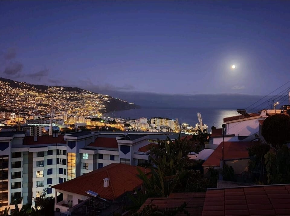View over the city night