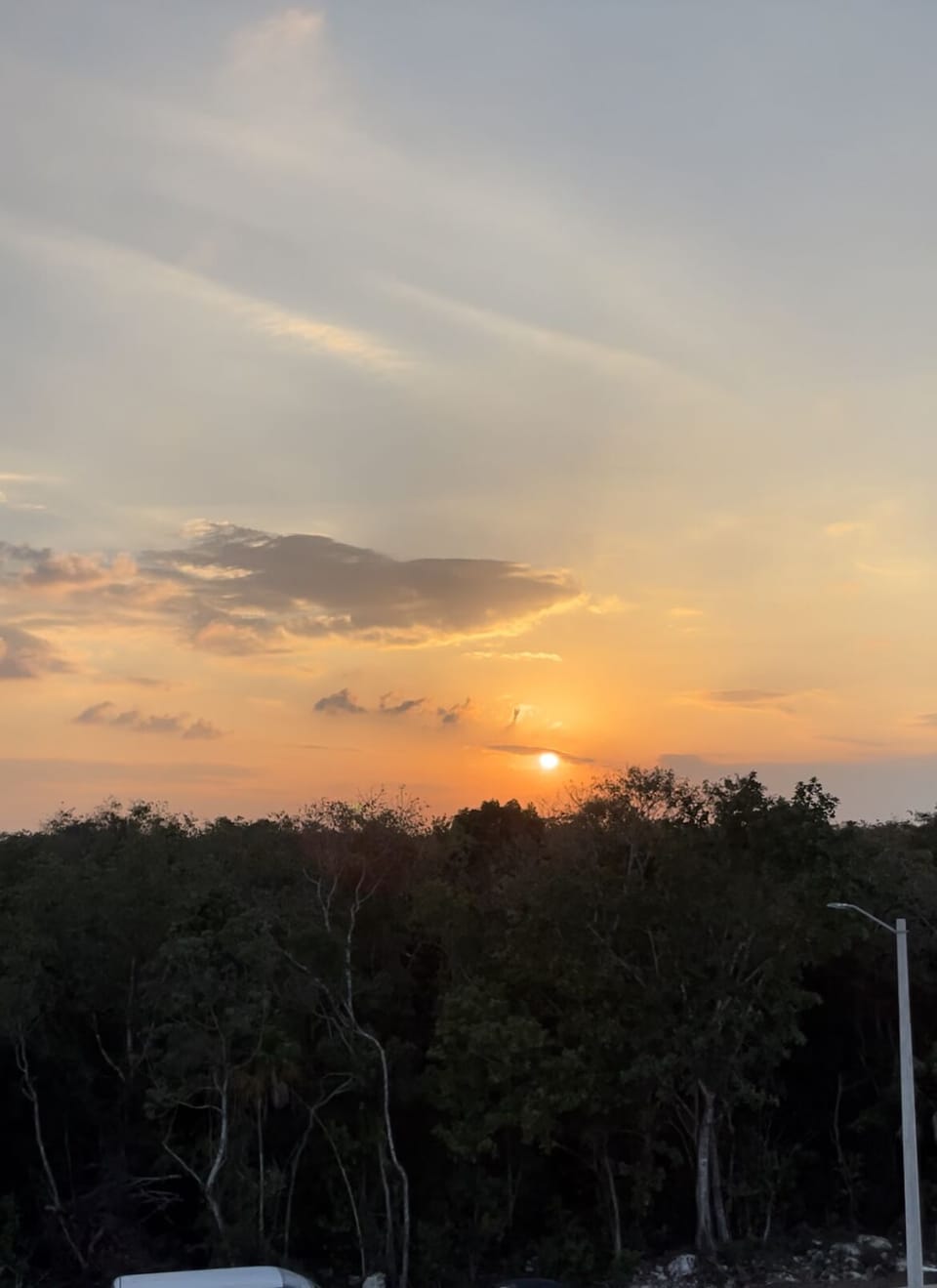 View from property