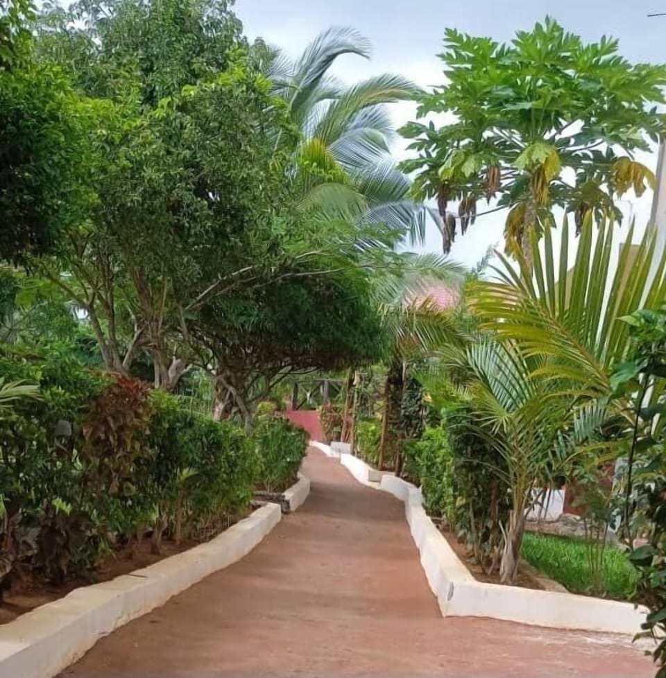 Pathway 