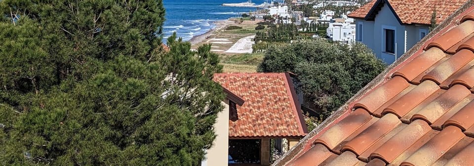 View of the harbour from the sun terrace 