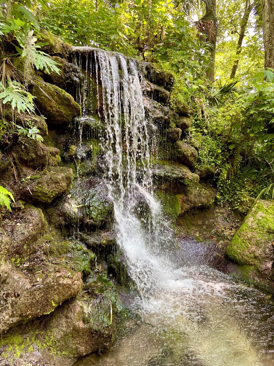 Rainbow Springs State Park