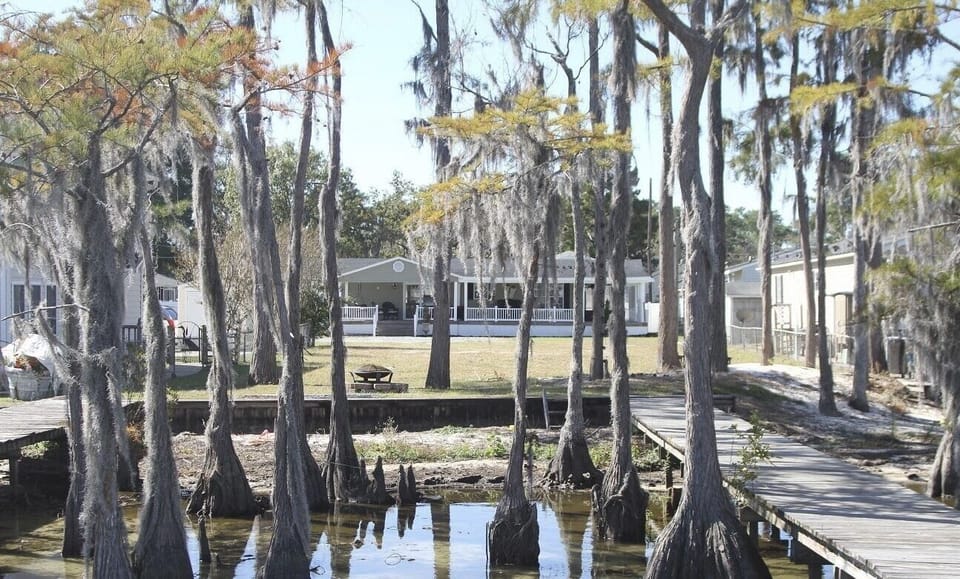 the view from the pier 