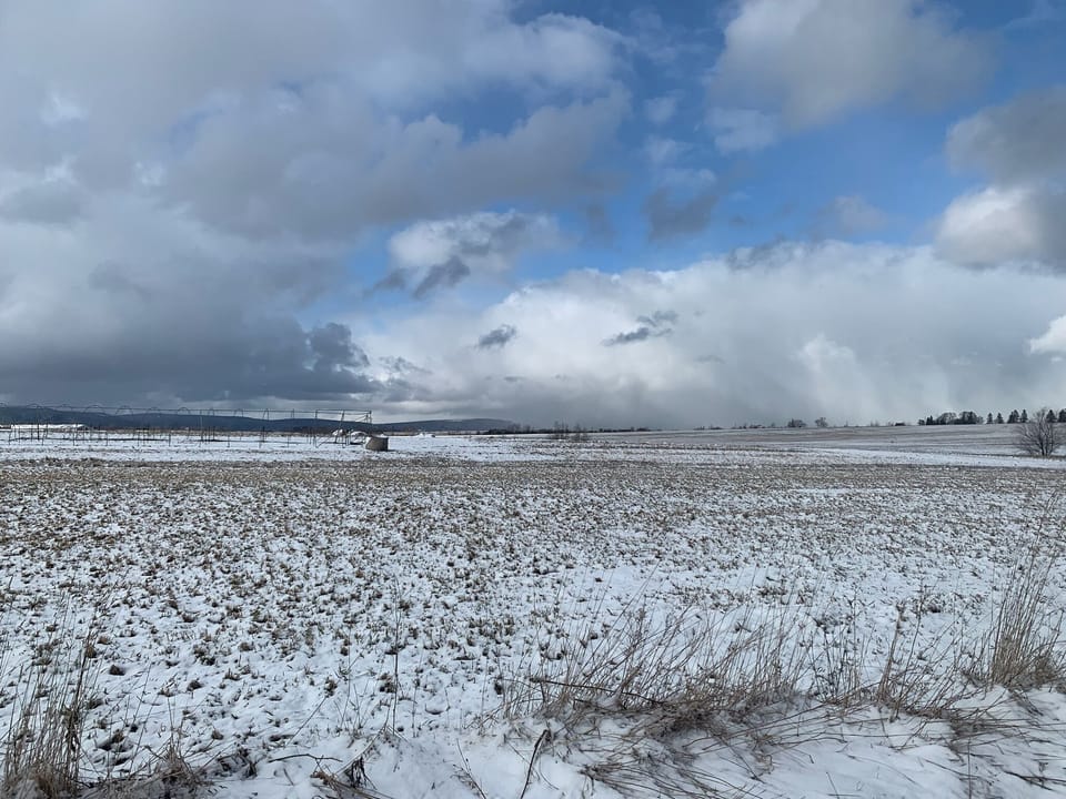 View of Blomidon from front yard
