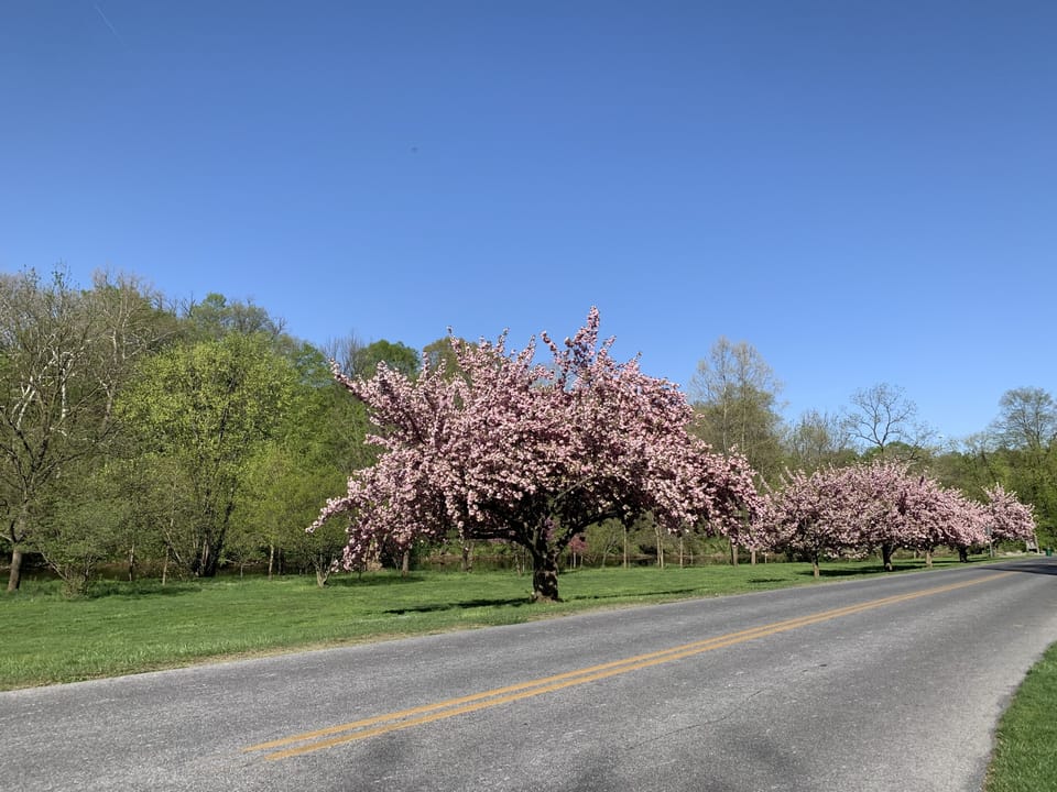Lancaster Central Park, walking distance from cottage