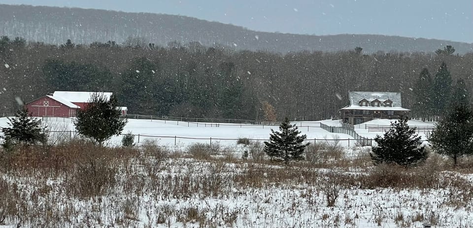 Winter View from Carriage House