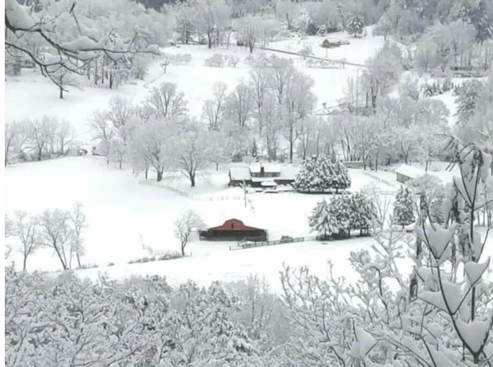 Christmas 2017.  15" of snow. 