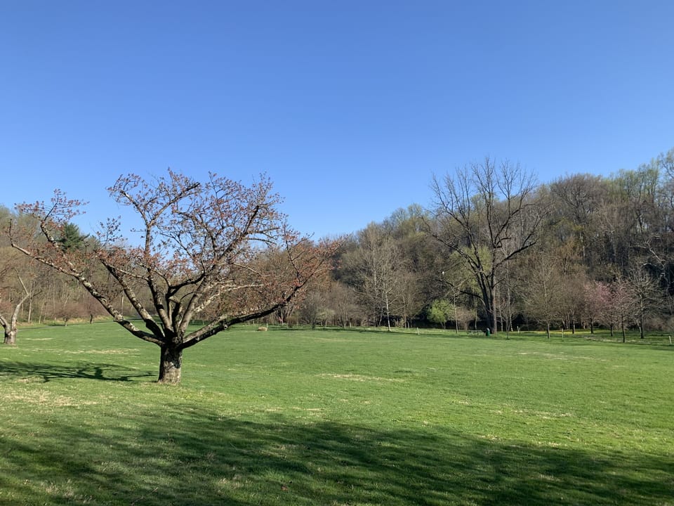 Lancaster Central Park, walking distance