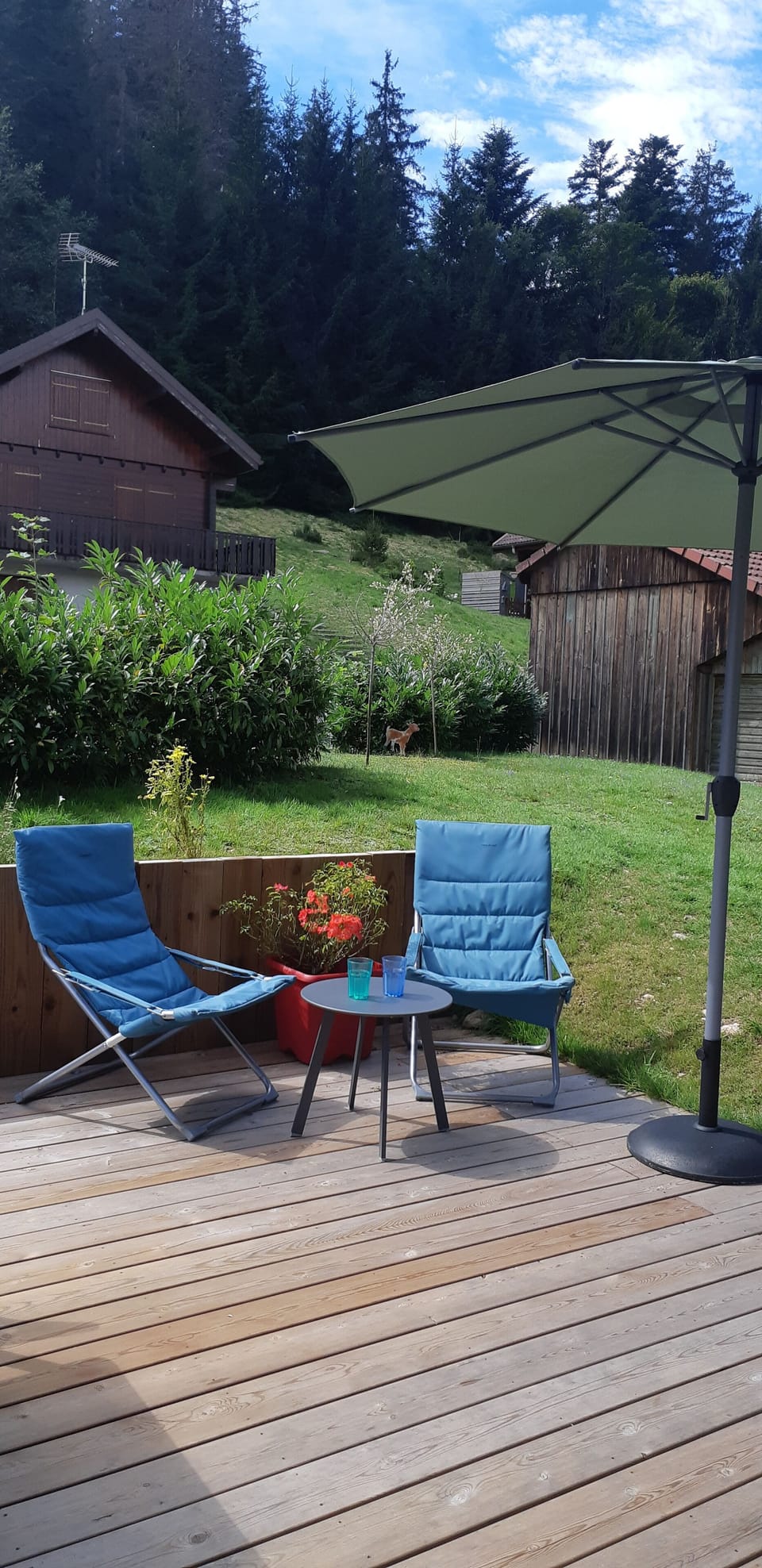 Terrace/patio