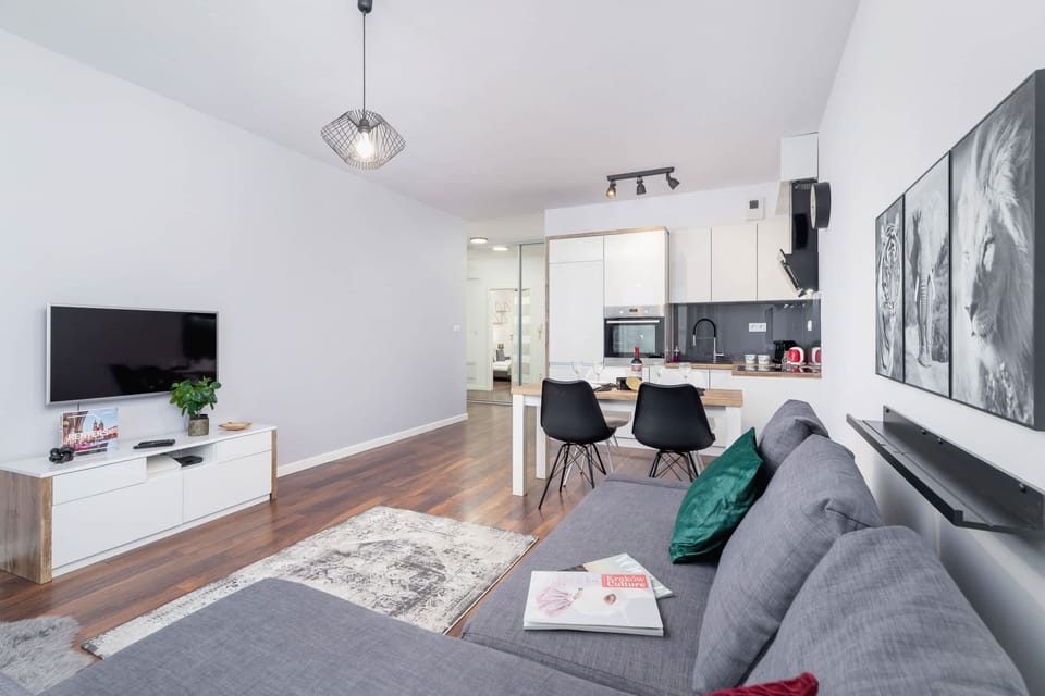 A spacious and modern living area featuring a gray sofa, a white TV stand with a flat-screen TV, and a cozy rug.