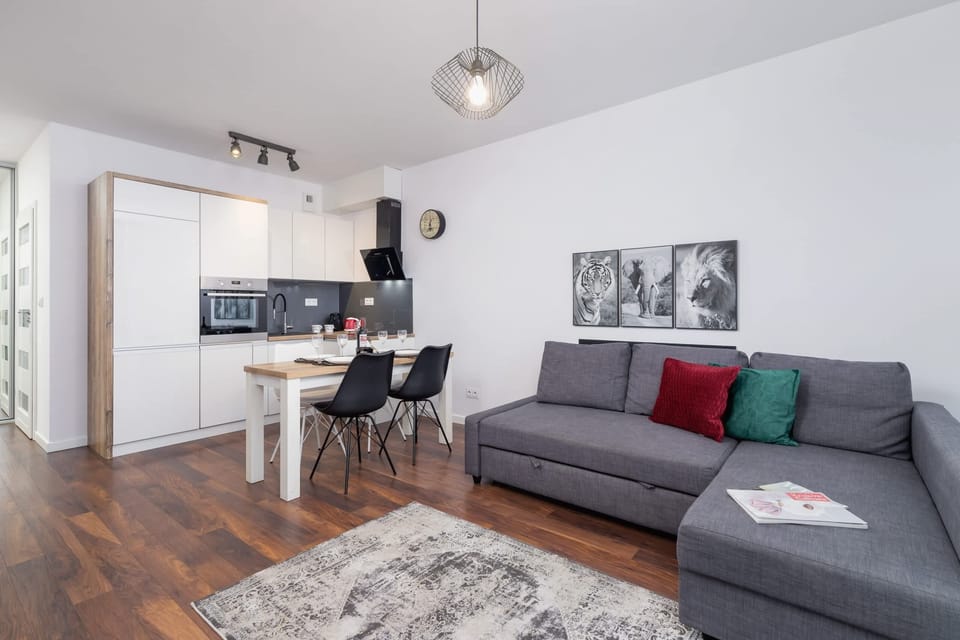A spacious and modern living area featuring a gray sofa, a white TV stand with a flat-screen TV, and a cozy rug.