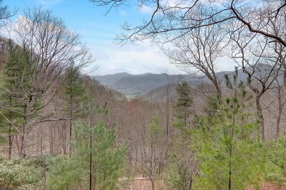 Second View from Treetop Vista