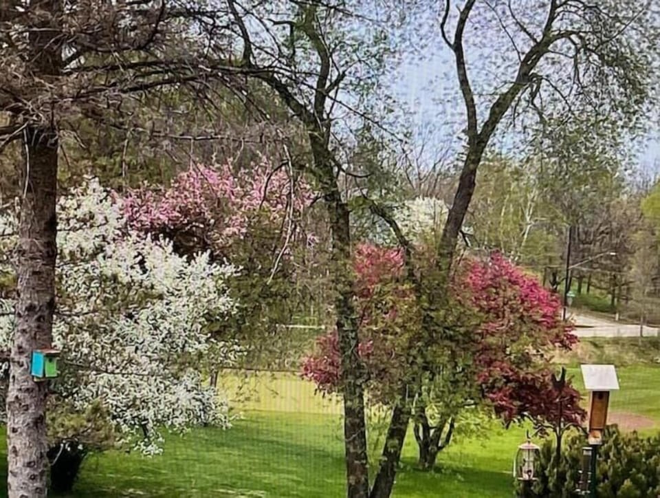 Spring time view