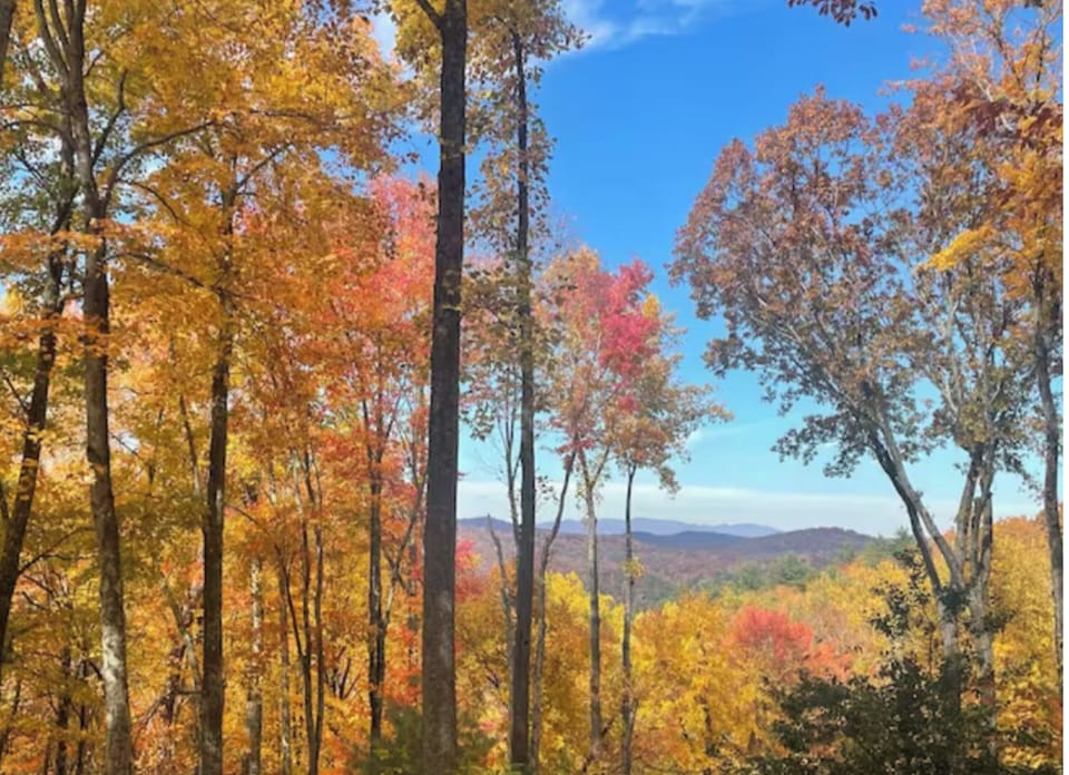 Every season brings new beauty!