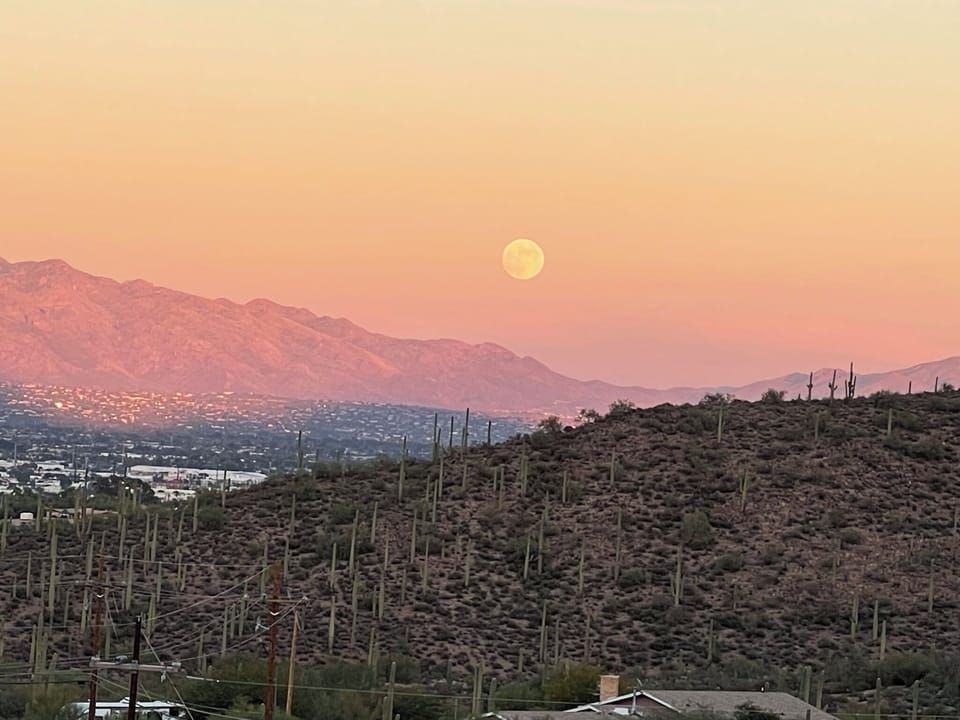 View From East Balcony