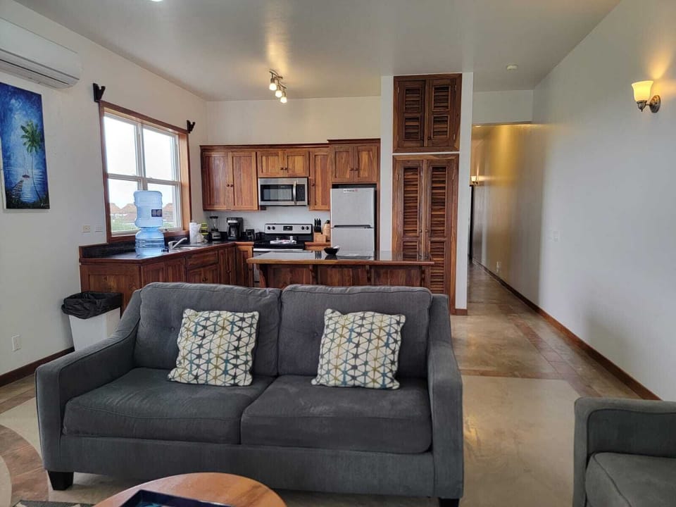 Living room and Kitchen