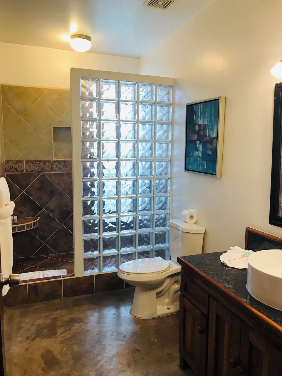 Guest bathroom shower