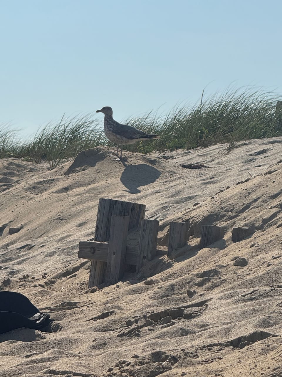 Sun, Sand & Ocean Breezes — Just a Relaxing Bike Ride Away