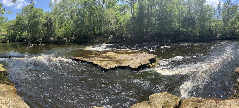 Nearby Steinhatchee falls!