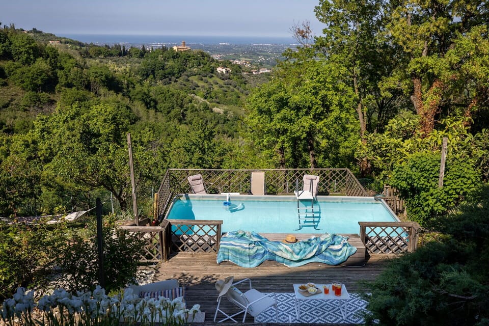 Outdoor, Pool, Scenic View