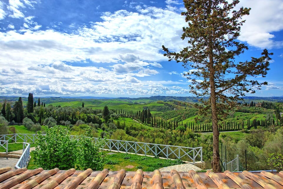 Scenic View
