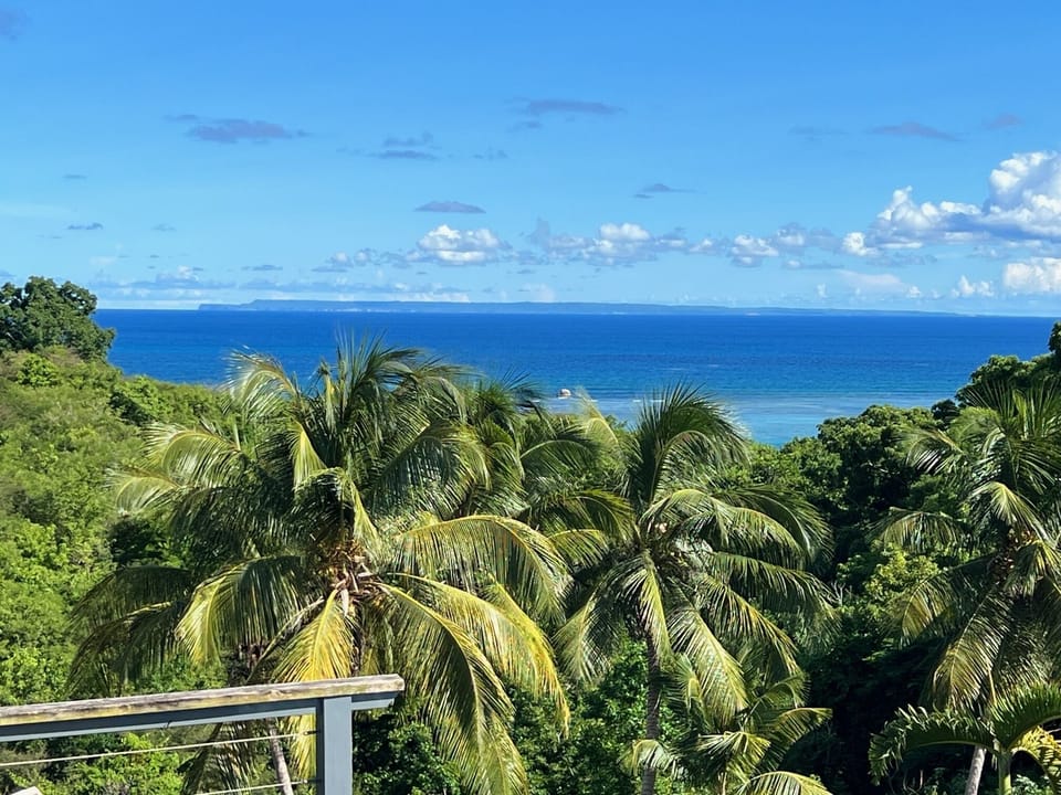 Beach/ocean view
