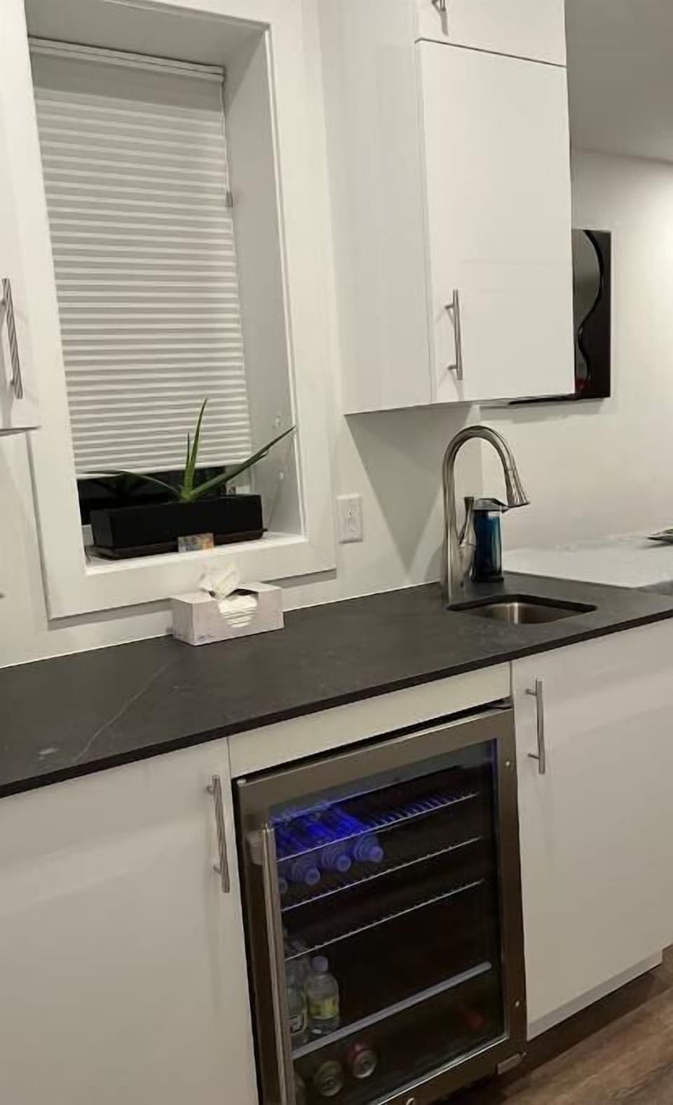 Wine fridge 