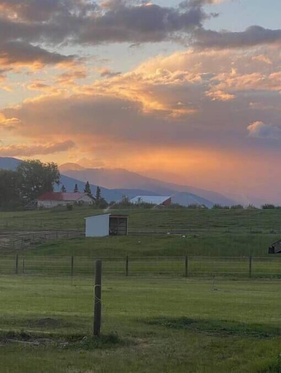 5571e966 dd2c 4c75 99f8 fab1eb74b040