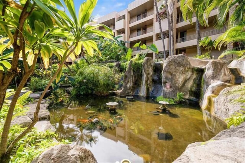 Pond For Sight Seeing