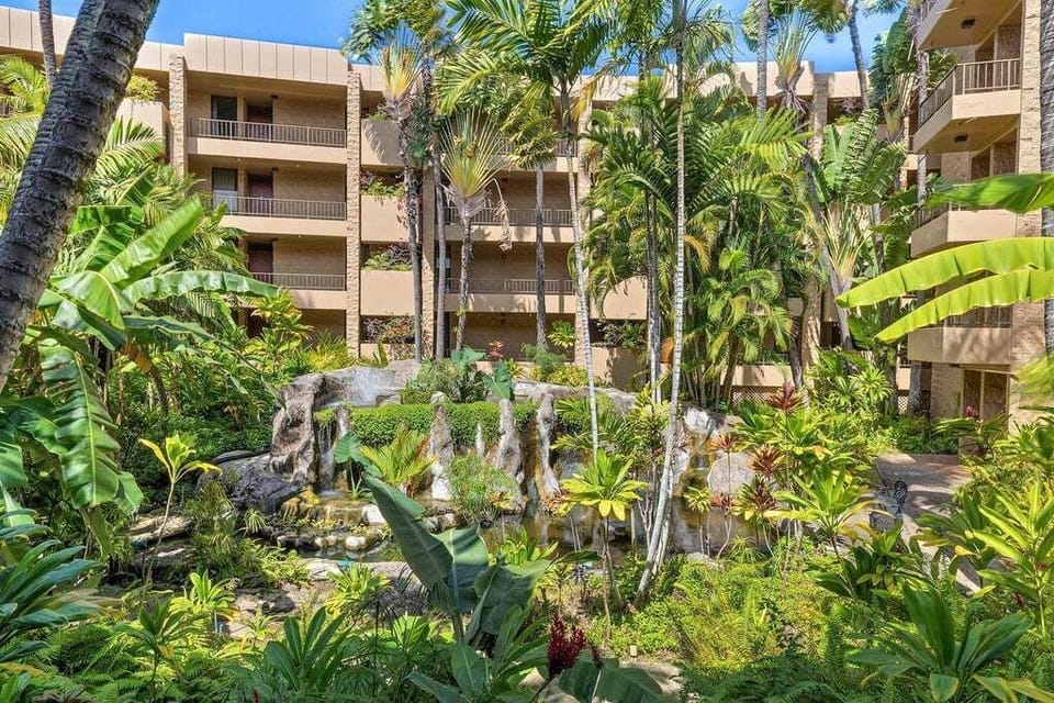 Garden View of Koi Pond