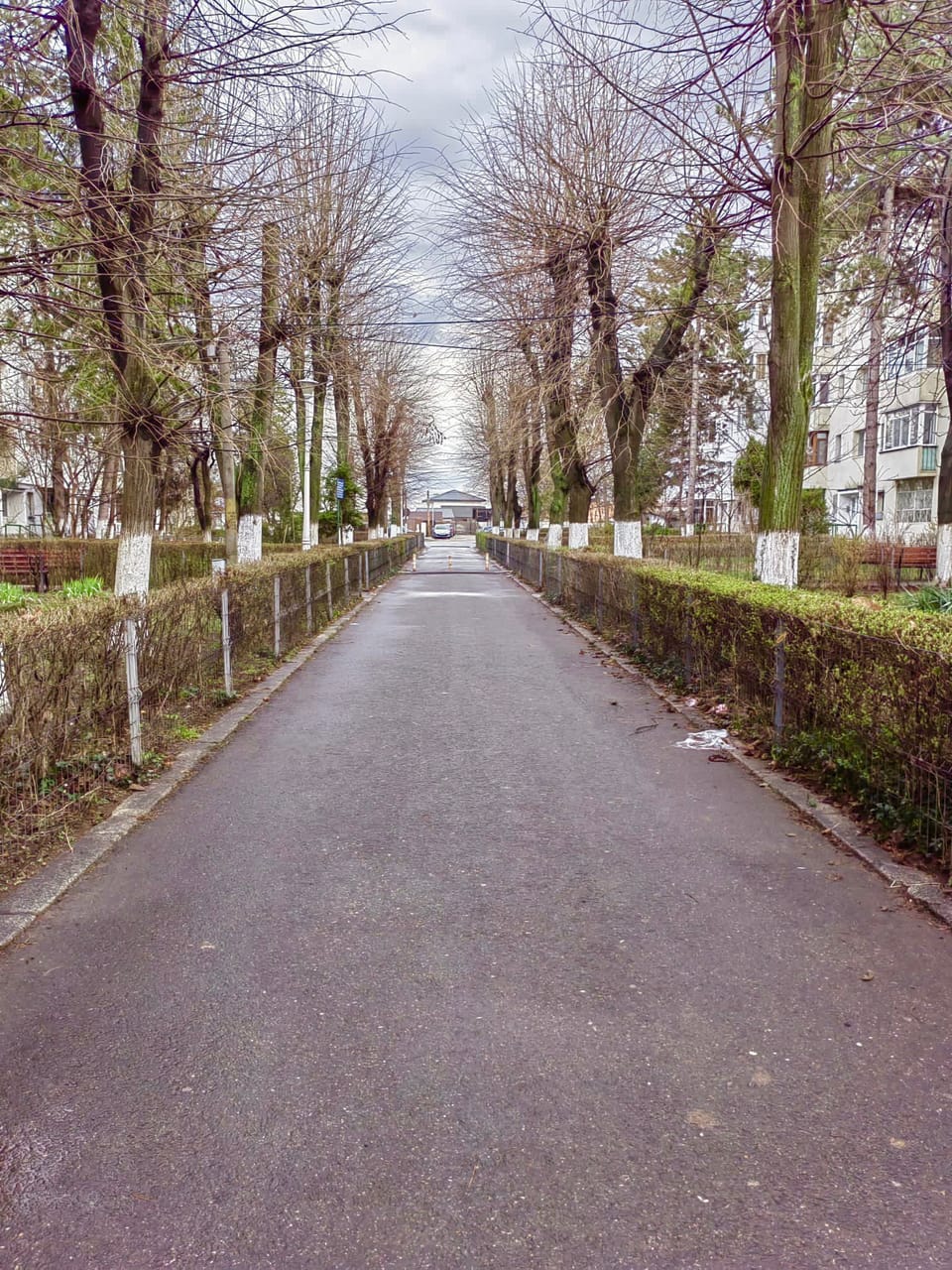 Miscellaneous
