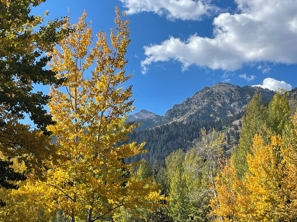 Autumn View from Balcony Deck