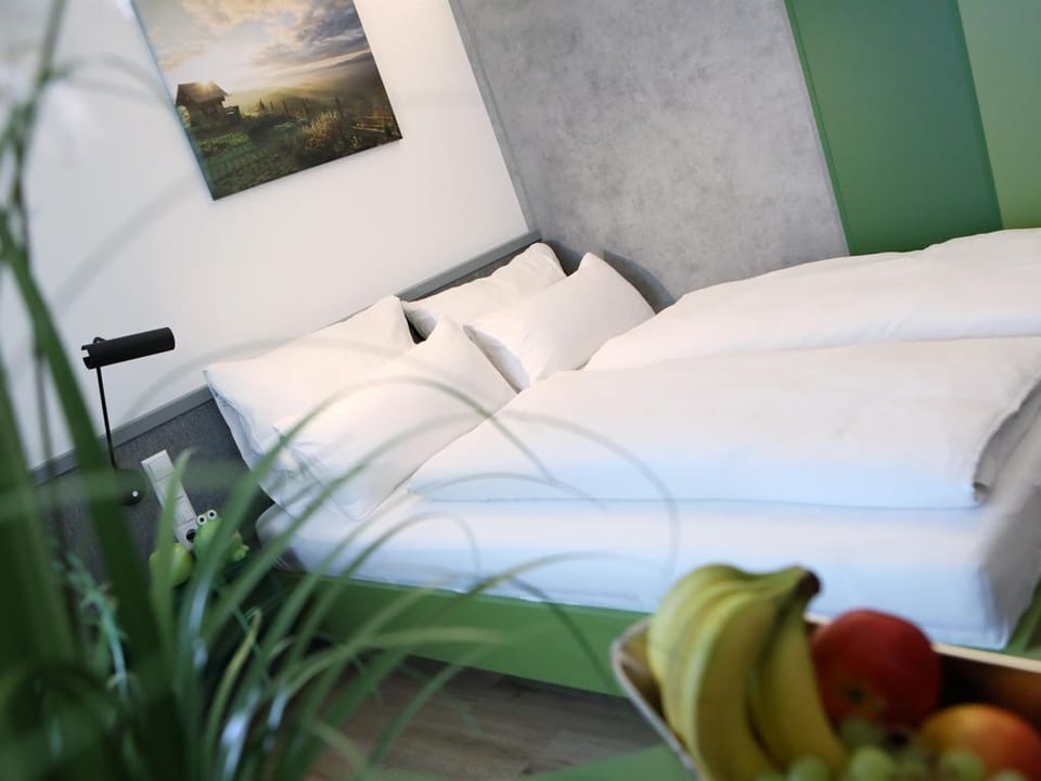 Studio Single - City Appartements Villach Apartment in Villach