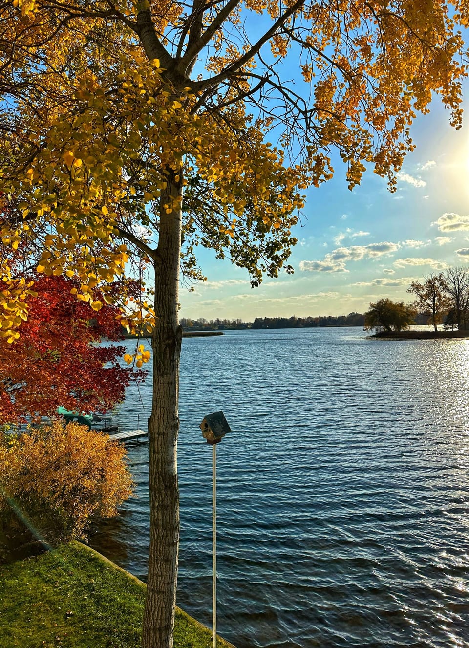 Fall Waterview from the deck. 