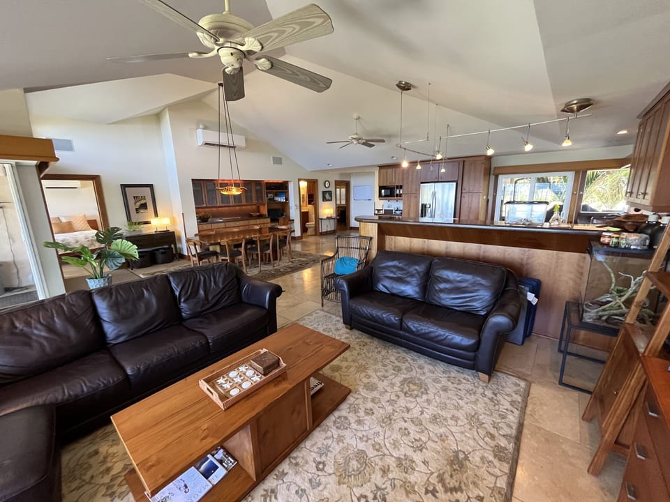 Living room with a new 65" flatscreen TV.