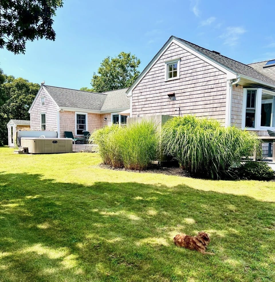 Lots of shade to keep cool and a level yard for outdoor activities