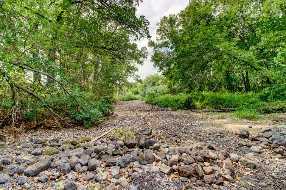 River (all dried up), Fall 2023