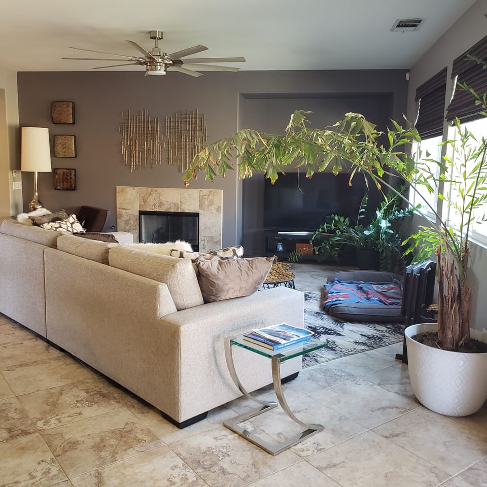Living area