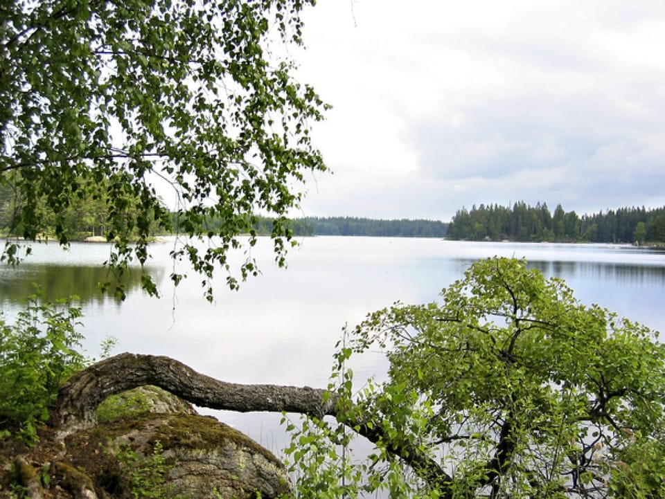 lake where the boat is