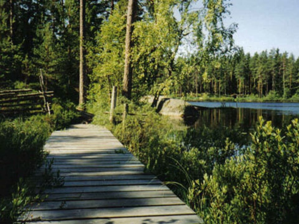 small lake not far from the house "Kulagölen"